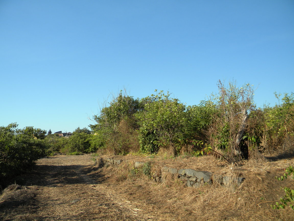 DSCN8071 .JPG